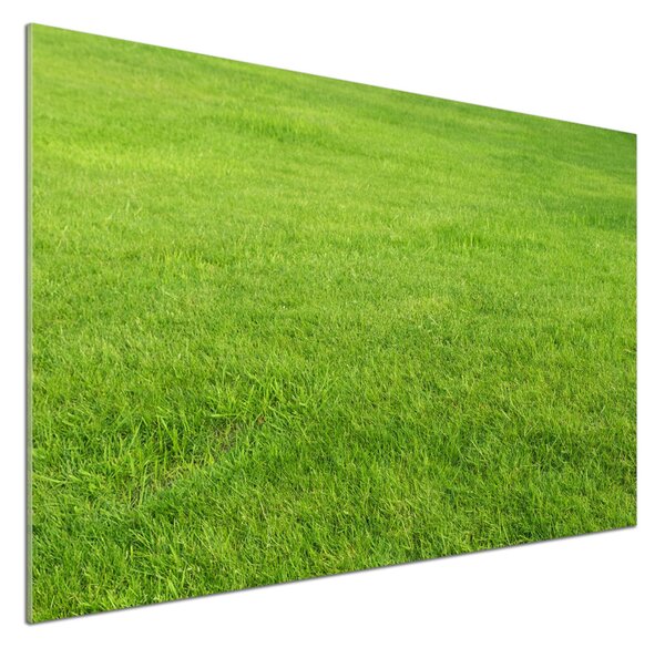 Panou sticlă bucătărie iarbă verde