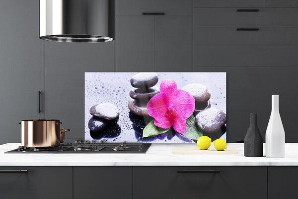 Panou sticla bucatarie Pietrele de flori Art Rosu Negru