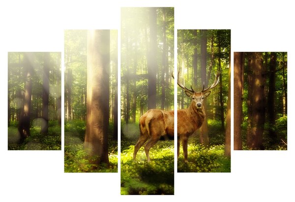 Tablou cu cerbul în pădure (150x105 cm)