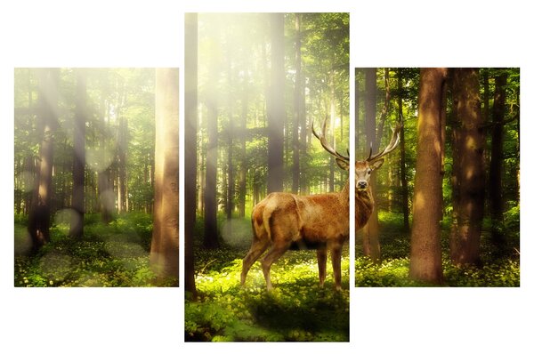 Tablou cu cerbul în pădure (90x60 cm)