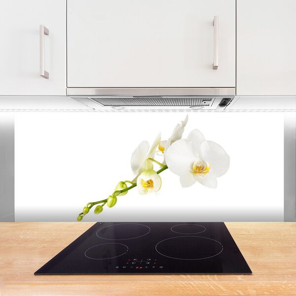 Panou sticla bucatarie Flori Floral alb