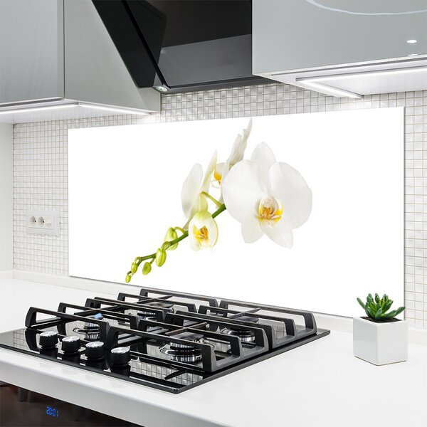 Panou sticla bucatarie Flori Floral alb