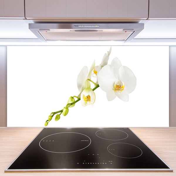 Panou sticla bucatarie Flori Floral alb