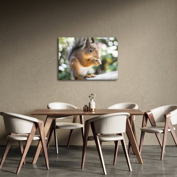 Tablou cu veverița (70x50 cm)
