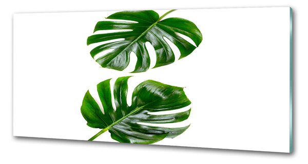 Panou sticlă decorativa bucătărie frunze tropicale