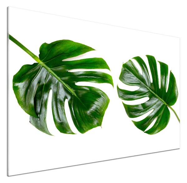 Panou sticlă decorativa bucătărie frunze tropicale
