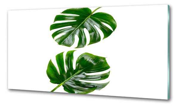 Panou sticlă decorativa bucătărie frunze tropicale
