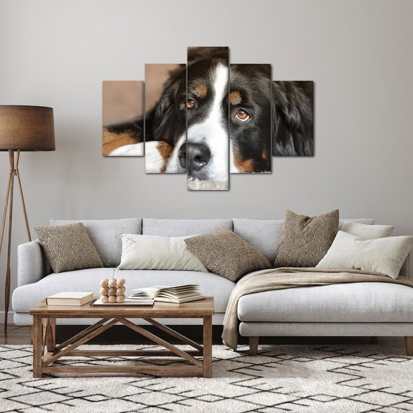 Tablou cu câine (150x105 cm)