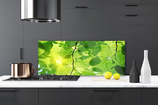Panou sticla bucatarie Frunze Floral Verde Maro