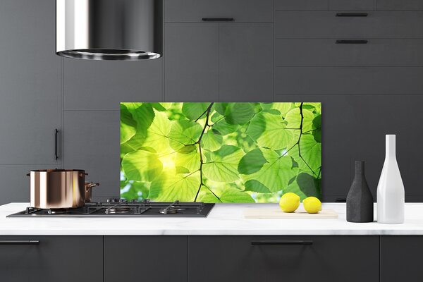 Panou sticla bucatarie Frunze Floral Verde Maro