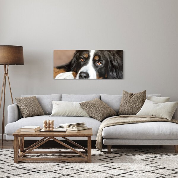 Tablou cu câine (120x50 cm)