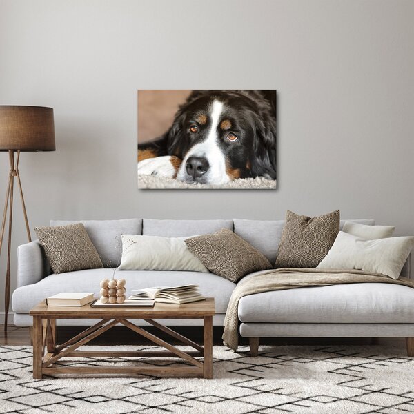 Tablou cu câine (70x50 cm)