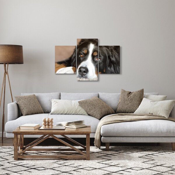 Tablou cu câine (90x60 cm)