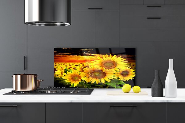 Panou sticla bucatarie Floarea soarelui Floral Galben Maro
