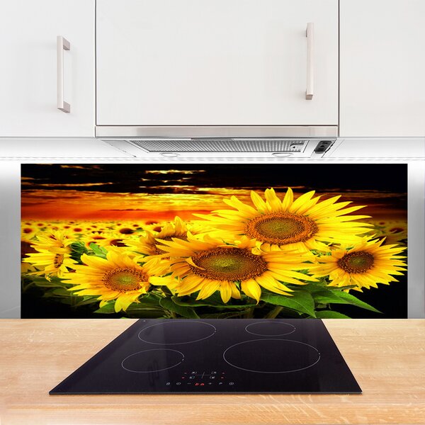 Panou sticla bucatarie Floarea soarelui Floral Galben Maro