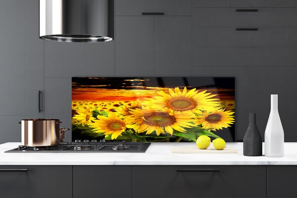 Panou sticla bucatarie Floarea soarelui Floral Galben Maro
