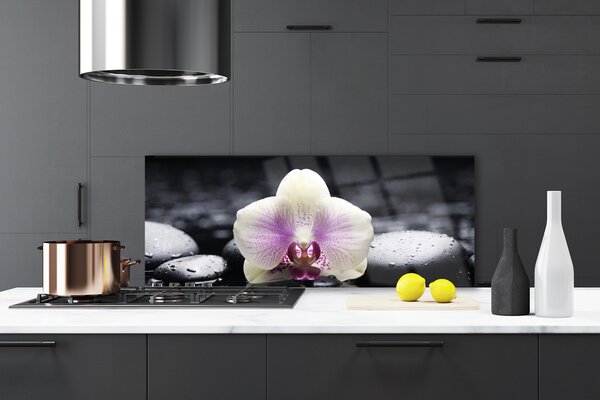Panou sticla bucatarie Pietrele florale flori roz alb negru