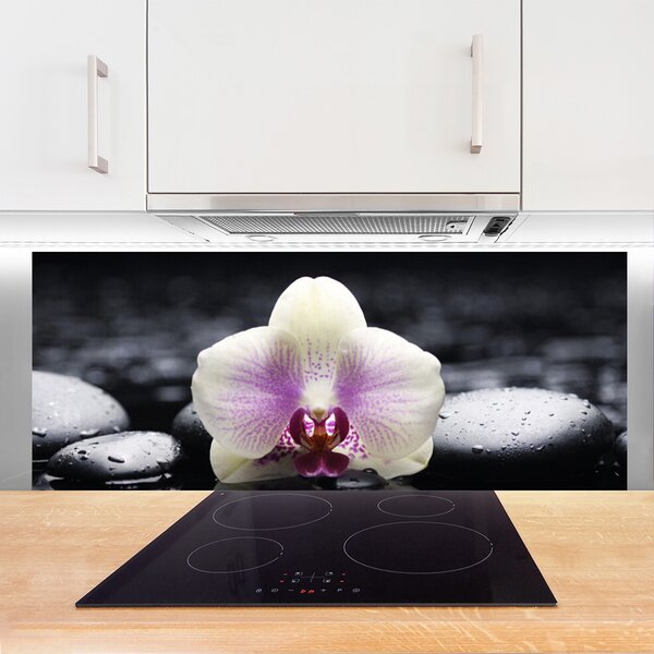 Panou sticla bucatarie Pietrele florale flori roz alb negru
