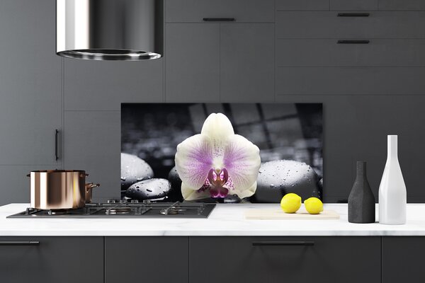 Panou sticla bucatarie Pietrele florale flori roz alb negru