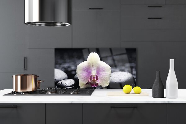 Panou sticla bucatarie Pietrele florale flori roz alb negru