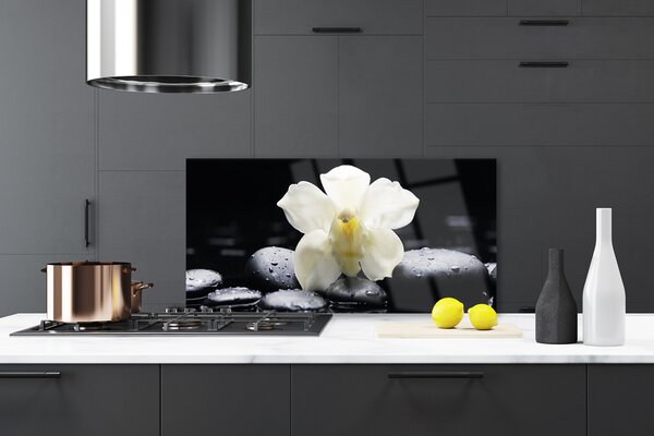 Panou sticla bucatarie Pietre florale flori alb negru