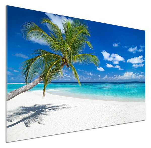 Sticlă pentru bucătărie plaja tropicala