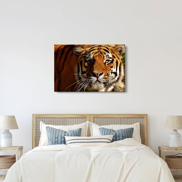 Tablou cu tigrul (90x60 cm)