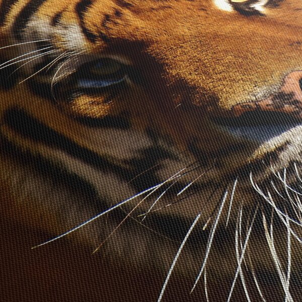 Tablou cu tigrul (90x60 cm)