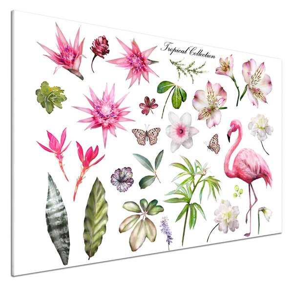 Sticlă printata bucătărie tropical colecție