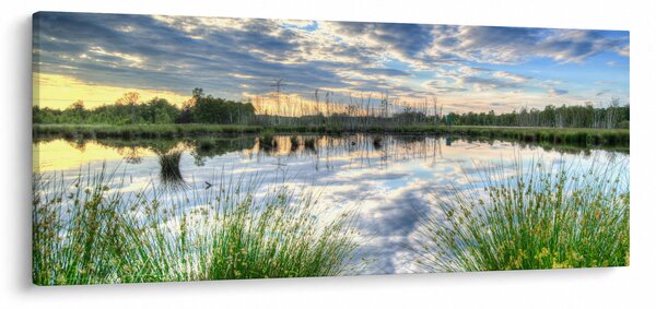 Tablou cu lac și trestie (120x50 cm)