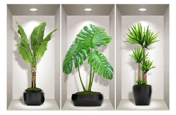 Set 3 autocolante 3D pentru perete Ambiance Green Plants
