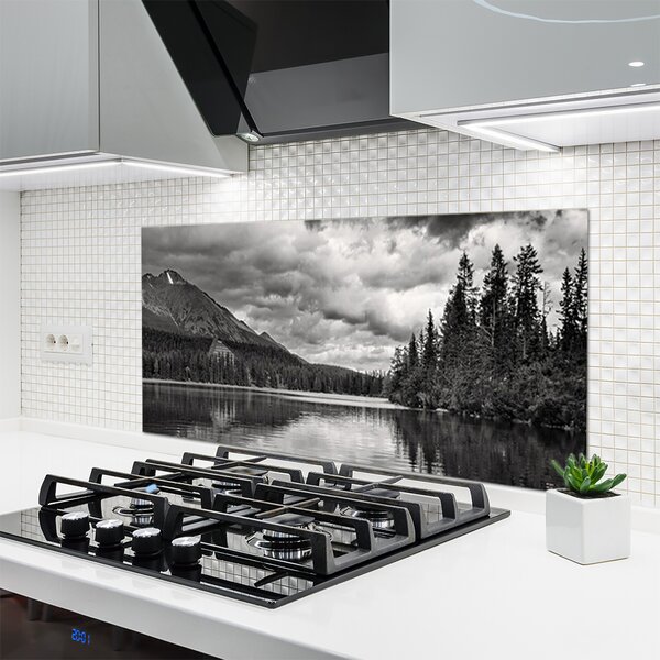 Panou sticla bucatarie Mountain Forest Lake Nature Gray