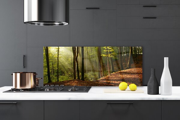 Panou sticla bucatarie Natural Pădurea Verde Maro