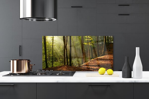 Panou sticla bucatarie Natural Pădurea Verde Maro