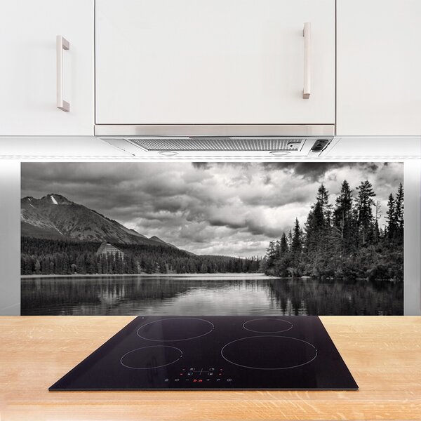 Panou sticla bucatarie Mountain Forest Lake Nature Gray