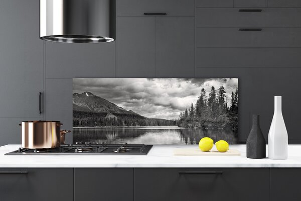 Panou sticla bucatarie Mountain Forest Lake Nature Gray