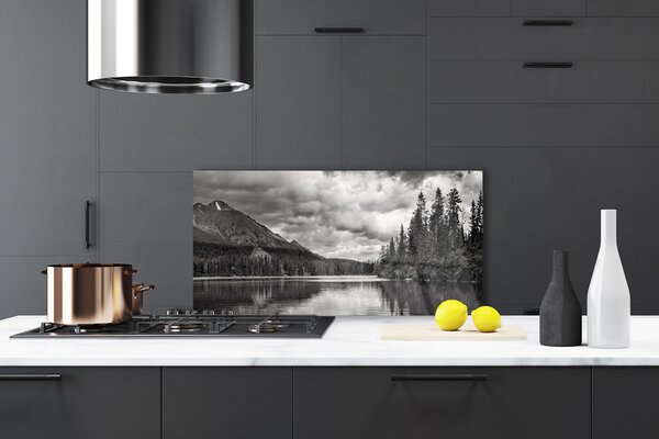 Panou sticla bucatarie Mountain Forest Lake Nature Gray