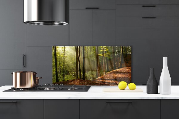 Panou sticla bucatarie Natural Pădurea Verde Maro