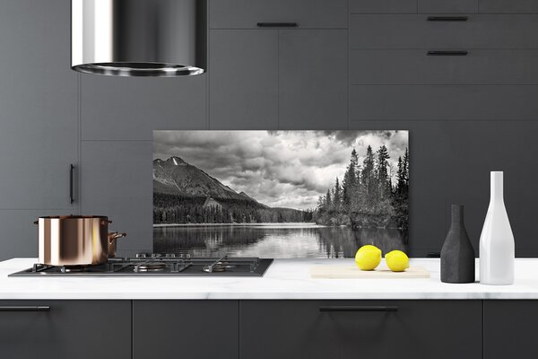 Panou sticla bucatarie Mountain Forest Lake Nature Gray