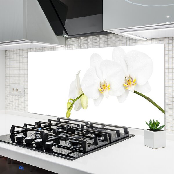 Panou sticla bucatarie Flori Floral alb