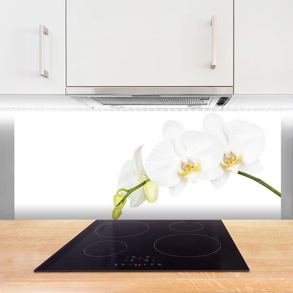 Panou sticla bucatarie Flori Floral alb