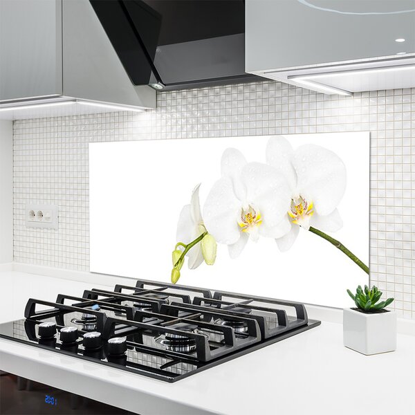 Panou sticla bucatarie Flori Floral alb