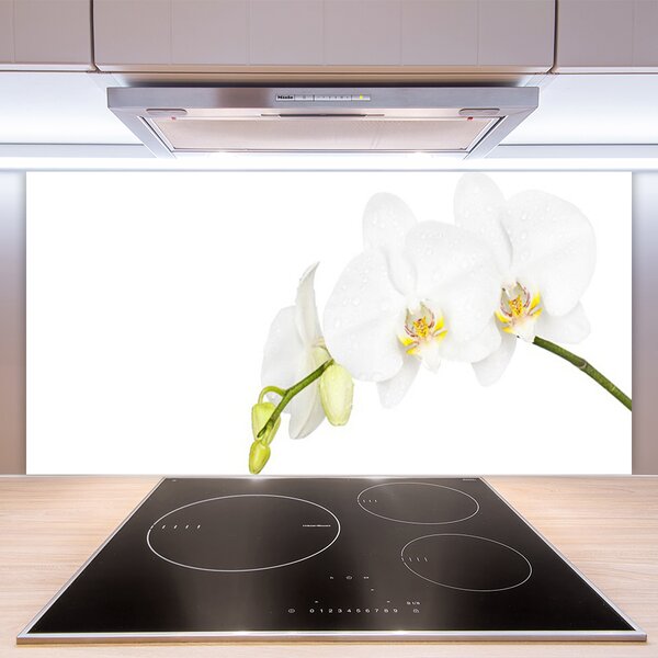 Panou sticla bucatarie Flori Floral alb