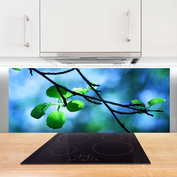 Panou sticla bucatarie Branch Frunze Floral Negru Verde