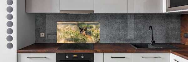 Panou sticla securizata bucatarie Deer în domeniu
