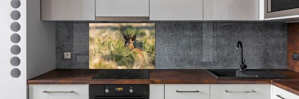Panou sticla securizata bucatarie Deer în domeniu