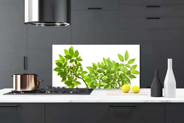 Panou sticla bucatarie Sucursale Frunze Floral verde maro
