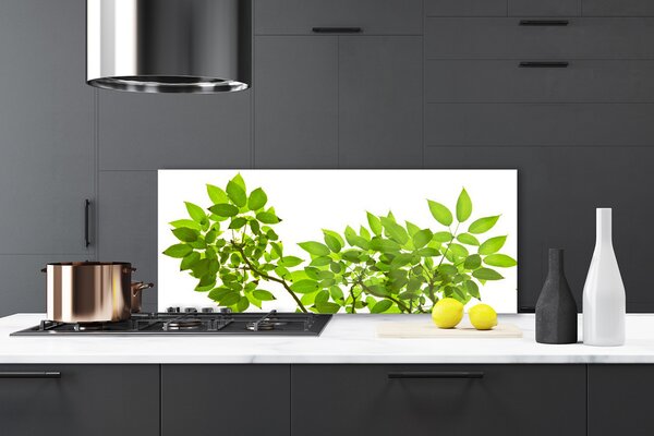 Panou sticla bucatarie Sucursale Frunze Floral verde maro