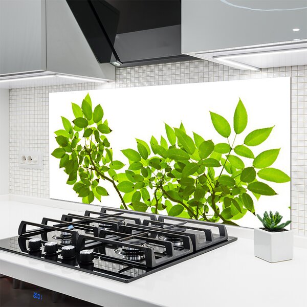 Panou sticla bucatarie Sucursale Frunze Floral verde maro