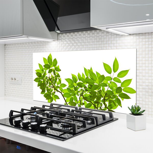 Panou sticla bucatarie Sucursale Frunze Floral verde maro